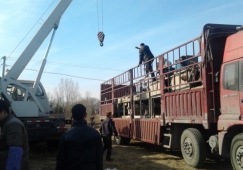 广州增城到永州物流公司-增城区到永州货运专线